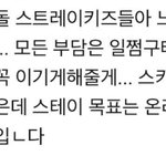 [스키즈] 테이들 <b>파이팅</b>❤️