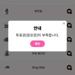 [스키즈] 근데 다들그거알지?투표인증할때