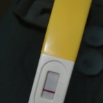 임테기 <b>두</b><b>줄</b>인가요??