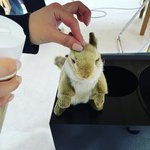 [펜타곤] 매니저님 인스타에 올라온