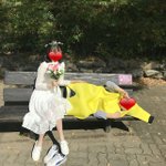[댓글부탁해] 졸사 컨셉 ㅇㄸ???
