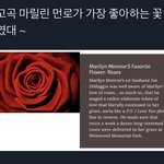 [NCT즌] 그림도 <b>장미</b>였던 이유