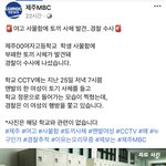 제주도 여자고등학교에서 토끼<b>시체</b>나왔데..