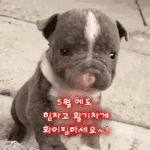 [50대] ❤ 향기나는 5월 ❤
