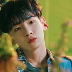 [드루와] 샤이니 파니까 좋은 점..