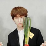 [펜타곤] <b>대파</b>시넌