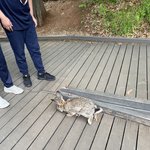 [더보이즈] ㅅㄷ 오늘 토끼봄