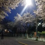 [NCT즌] 너넨 첫사랑 떠올리면 무슨<b>계절</b> 생각남?