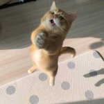 이거 가<b>오충</b> 패션인지 추반 ㄱㄱ