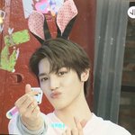 [우리<b>태용</b>님] 토끼 <b>태용</b>