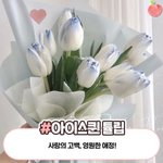[펜타곤] 이거 <b>완전</b>