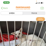 나눈 케이지 안ㅇㅔ서 태어나써여