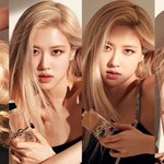 로제는 2021년 <b>열일</b> 중