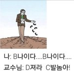 [댓글부탁해] 동물관련 확통