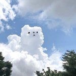 얘들아 내 친구랑 나랑 몸무게