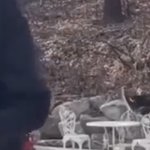[골든차일드] 뒤에 <b>그네</b> 타는 멤버