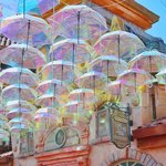 에버랜드 <b>블로그</b>에 올라온 배경화면 공유