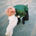 아 오세훈 귀여워