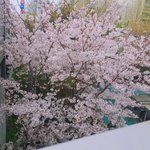본진 적고 가면 최애곡 써줌