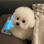 이거 에이블리/<b>가오</b>충 패션이야 ㅠㅠㅠㅠ?