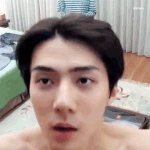 기여운 <b>세후</b>니