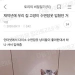 [댓글부탁해] <b>졸사</b> 컨셉좀 정해주고가 ㅈㅂㅈㅂㅈㅂ
