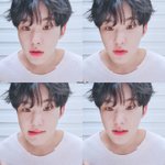 [세븐틴] 애들 뽀얗고 <b>무해</b>한거