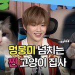 [강다니엘] [엠뚜루마뚜루]나혼산 멍뭉미넘치는 고양이<b>집사</b>