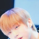 [강<b>다니엘</b>] 팬싸 프리뷰1