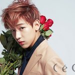 [댓글부탁해] <b>내</b> <b>취향</b> 소나무임?(사진ㅇ)