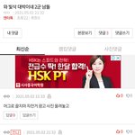 빛삭쓰니 다른글 파서 주작치다걸림