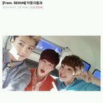 <b>기여</b>운 오세후니