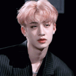 <b>타팬</b>이 보는 스트레이키즈 (조금 길어)