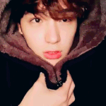 [더보이즈] 더비들아... 짤털 부탁해두 되니