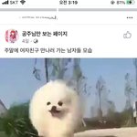 이딴 페북식 <b>모에</b>화 너무 싫가