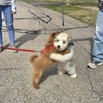 [드루와] 더 뜨면 좋겟다 멀리멀리 제발 제발