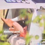 [NCT즌] 툥 <b>발목</b> 무슨일이야