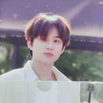 [NCT즌] 요 강아지 어쩜 좋음