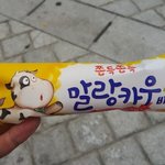 내 인생아이스<b>크림</b>