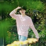 [NCT즌] 당근 <b>수색</b> 중