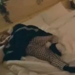 [NCT즌] 이게뭐임?????