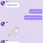 [NCT즌] <b>우하</b>하