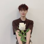 [이대휘] <b>장미</b>든대휘
