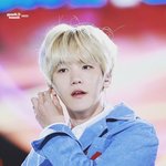 변백현 <b>기여</b>어