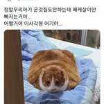 학원쌤한테 뭐라 보낼지 추천좀 제발 <b>plz</b>!!!!!