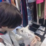 [펜타곤] 남친짤