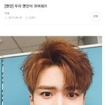 [펜타곤] 우리 <b>옌안</b>이 귀여워!!!