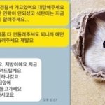 ‘펫시터’에 맡긴 햄스터 죽었는데…“쥐<b>XX</b> 하나 갖고”