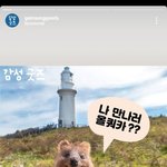 [스키즈] 아침부터 한<b>지성</b> 봤다