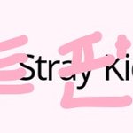 [스키즈] 나 타팬인뎅